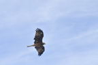 D2011030_060H