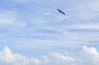 D2011030_070H