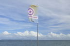 D2011030_081H