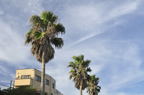 D2011030_099H