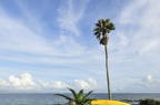 D2011030_113H