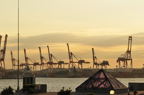D2011035_049H