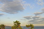 D2011035_051H