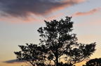 D2011035_090H