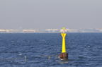 D2011036_045H