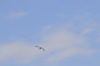 D2011036_052H
