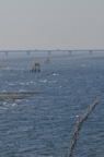 D2011037_014V