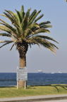 D2011037_048V