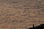 D2011041_099H