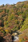 D2011044_001V