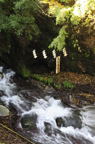 D2011044_027V