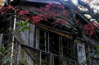 D2011044_035H