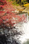 D2011044_051V
