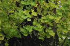 D2011045_005H