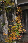 D2011045_012V