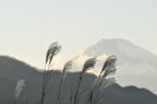 D2011046_016H