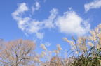 D2011048_014H