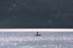 D2011048_018H