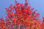D2011049_019H
