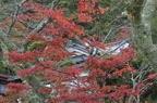 D2011050_002H