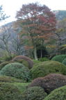 D2011050_007V