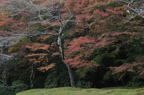 D2011050_011H