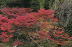D2011050_017H