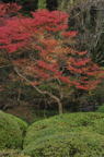 D2011050_018V