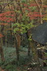 D2011051_005V
