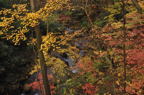 D2011051_012H