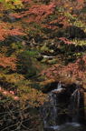 D2011051_031V