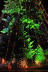 D2011056_037V