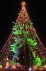 D2011056_119V
