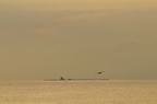 D2012001_014H