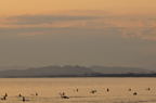 D2012001_043H