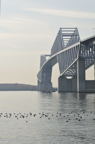 D2012004_043V