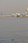 D2012004_078V