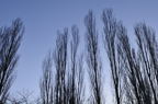 D2012005_029H