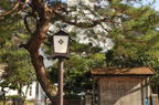 D2012006_057H