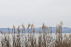 D2012007_010H