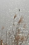 D2012007_012V