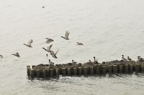 D2012007_069H