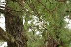 D2012009_033H