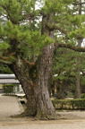 D2012009_035V