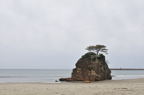 D2012009_074H