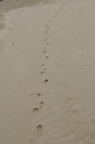 D2012009_089V