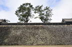 D2012010_006H