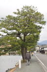 D2012010_105V