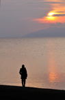 D2012010_225V