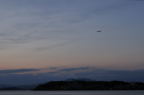 D2012010_248H